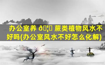 办公室养 🦆 蕨类植物风水不好吗(办公室风水不好怎么化解)